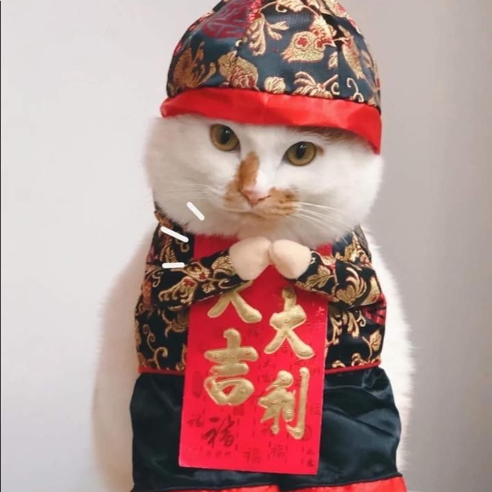 Meet your Posher, Emma